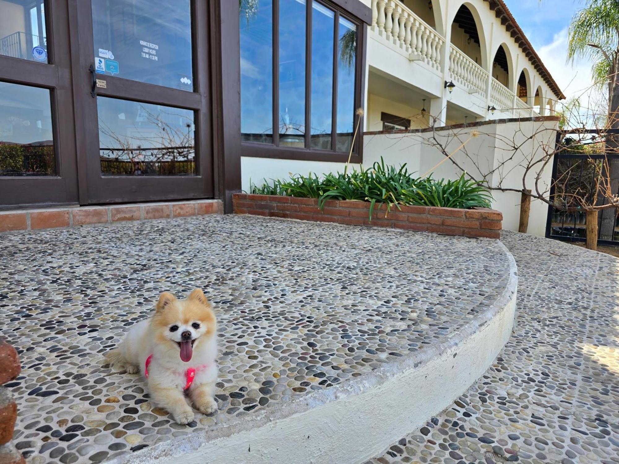 Hacienda Guadalupe Hotel Exterior foto